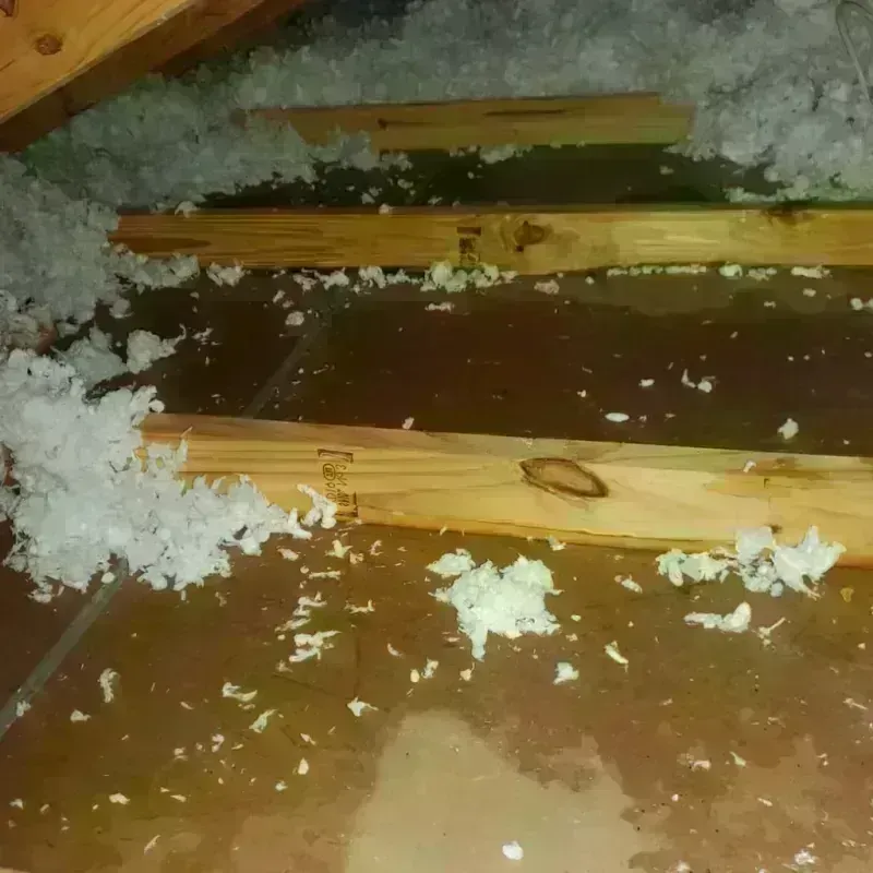 Attic Water Damage in Dry Run, OH