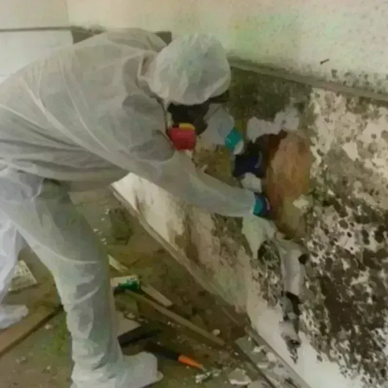 Mold Remediation and Removal in Dry Run, OH